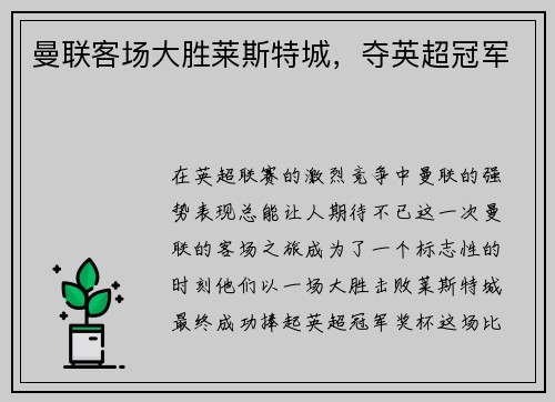 曼联客场大胜莱斯特城，夺英超冠军